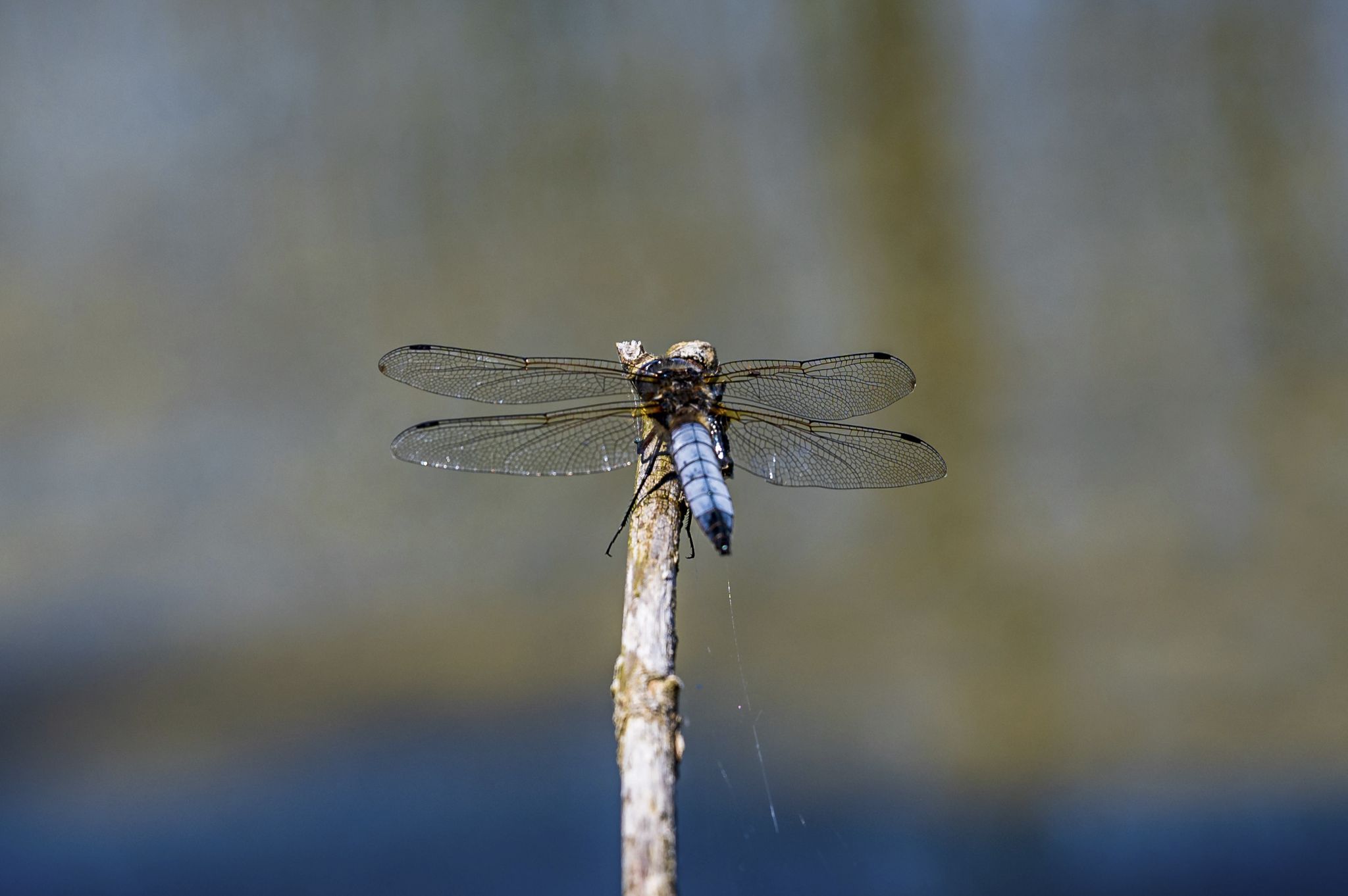 Kajaktour Staffelsee 12.06.22